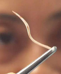 �����ˣ��������Ӻ��������� ��̾�Ȼ�����°���ĳ����������λ