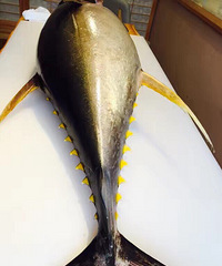 ��һ�γ����ϳ��Ի�����ǹ��  ζ�������ޣ�