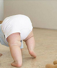 ����6���´󱦱��Ӵ���ˤ���� Ҫȥ��Ƭ�����