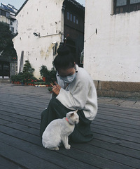 ����һö������è�� �ؼ�����ͼ�����