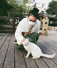 ����һö������è�� �ؼ�����ͼ�����