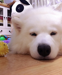 ��������һ��