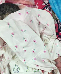 ɥ�Ĳ��񣡺���һ�ݴԷ�����Ӥ �Ѿ�����...