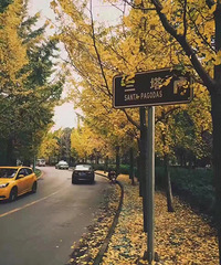 ɹ���ģ���������