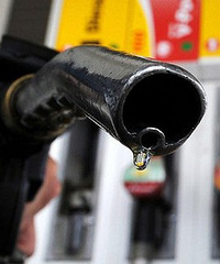 �ͼ۽�ӭ2016��������Ƿ� 92�������ϵ�Լ0.29Ԫ/��