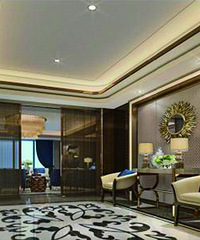 ����180ƽ�Ĵ�ƽ�� ����Ҫ��