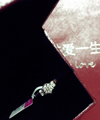 һ���������ʯ�ͶԽ� �����19¥�Ļ鲩��