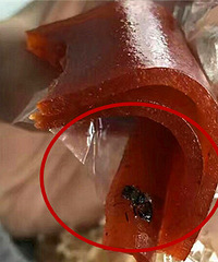 ɽ���Ե��˲�Ӭ ���ö��ģ�