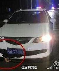 ������ҹ������������ �³������ֳ������Ѫ�֣�