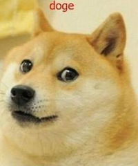 什么?!这个圈有7000只单身汪 等你来解救啊!