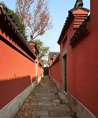 ���ޣ��������˸����Ͻ��ǡ���ԭ���ǡ�