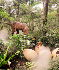 �������մ���ͣ�����͵�ӰƱ+���顰9D/VR�� ��ǰ100��