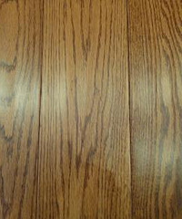 ������ذ�����