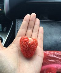 �����Ĵ������Ұ�19¥