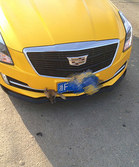 ���ƿ���ǰ�� ���ü�ǧ��������� ���...