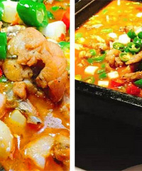 �˵����� ���ᡤ̼�п���������ѳԴ�ͣ�