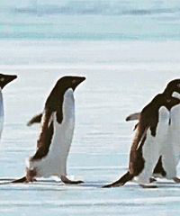 12������ů �����ġ�Ϊ�Ҽҵ��ޡ���TCLů���