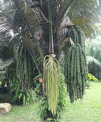 ���������һ���������������� ����1��5��