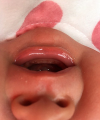 ���������ϳ��˰׵�