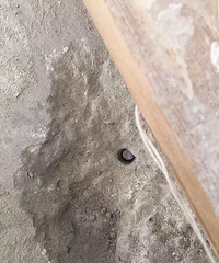 ��ü�������ĳС��ҵ��װ�޴򡰵�����  ������ȥ¥�崩�ˣ�