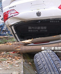 14���³�ȫ���١�����������С����Ư�ơ� ��������� ���ȴ�Ƭ