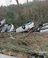 ���˸�����  14���³����ˣ�