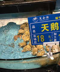 5.9��  �¿����ʵ�Ե���ǽ���Ժ��ʵ���˵ʵ��̫����ˣ�