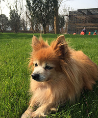 ��Ѱ������������4��������Ϻ���ʧ����һ��