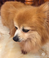 ��Ѱ������������4��������Ϻ���ʧ����һ��