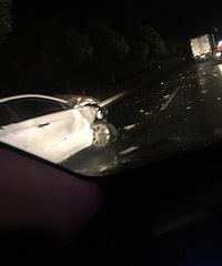 ��07ʡ��������ײ �ֳ����� ����Ա���� ���и�ʩ��