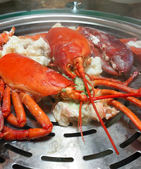 ��Ӫ���������ʣ�