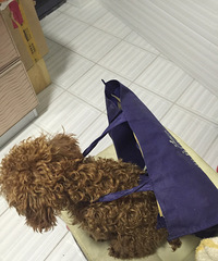 ��Ϊ�Ҽҵ��ޡ���һ���㱳���Լ��Ŀ�������ҳ���