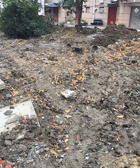 ����С�������²ۣ�����������  �ھ������������ת