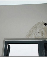 ¥��װ�ް��Ҽҵ��ߴ���� ������˵Ҫ�⳥���ǲ�������