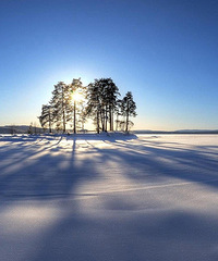 2016��ӽ�β�� ����������ĩ�� �������׸�Ǯ������