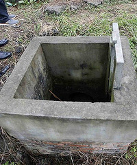 �ֲ��������ϲ��ﳵ���� ������Ⱦ�