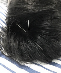 ����᡿�������׵����ͻ���ռǣ������������£������Ƴ̸㶨��