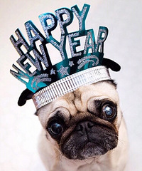 ��������ѽ��Ҫ������Ҫ������Ҫ�����˰���