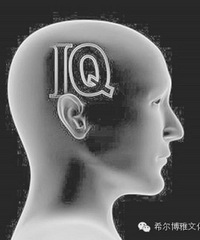 4��ĺ�����ʶ�ųɵĺ��� ���Լ���������� ������