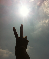 �����Ĵ�����+������Ŀ��Ůֽ