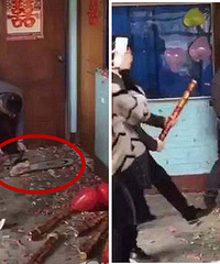 ����������ͻȻ�����⣿���Ż��ˡ���