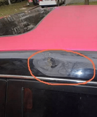 �����Ѱ���ͣ�ڴ����� ���������