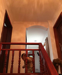 Ϊ�Ҽҵ���+���2016 ϲӭ2017