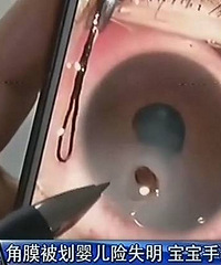 ���ۣ�2�´󱦱��۽�Ĥ���˸��� Ԫ�׾���...