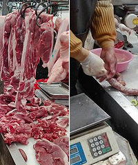 ���괫ͳ ������㳦����