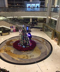 �������žƵ꣬һ���������������ݡ�ֱ����