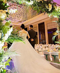 �ȵ��Ӿ繷Ѫ��96�ꡰ����Ů�������һ�εĻ��������������ɷ�