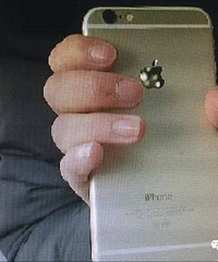 �й������������ĳƻ��ר��ά�������Ծɻ��� ��������Ƕ��ֻ�