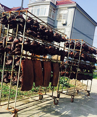 ���� ����� ŨŨ����ζ��������Ļ���ŵ���������