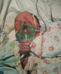 ��־��2016�����һ�����챦��������־Ӥ��ˢ������Ȧ